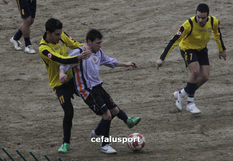120310 stefanese 110y_tn.jpg